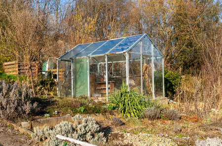 greenhouse in the spring in the garden with early bloomers in the flowerbedの写真素材