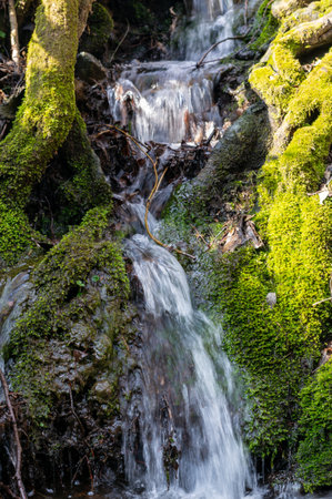 small waterfall in the forest with green moss in spring verticalの写真素材