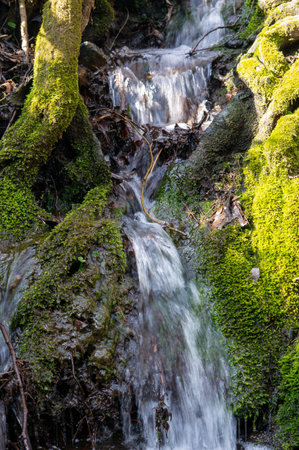 waterfall in the forest with green moss in spring spiritual relaxation verticalの写真素材