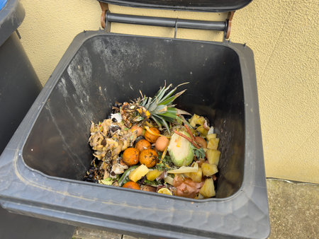Organic waste and household waste from a brown waste binの写真素材