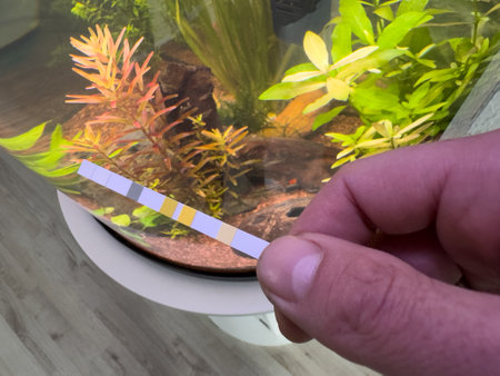 freshwater aquarium water test with a test stripの写真素材