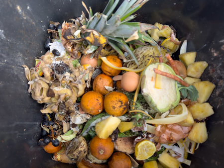Organic waste composting in the gardenの写真素材