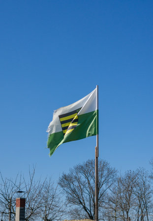 East German Saxony flag in the wind on blue sky verticalの写真素材