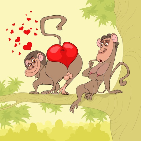 At Valentine's Day male monkey presents his back as a gift to female monkeyのイラスト素材