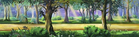 summer parkの写真素材