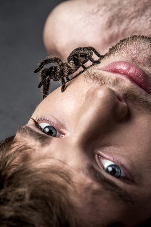 Portrait of a Young Handsome Man with Big Spider on His Faceの写真素材