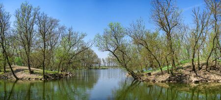 Lake in the reserve Askania-Nova in Ukraine in a sunny spring dayのeditorial素材