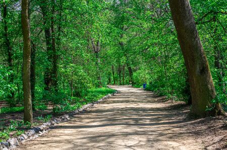 Askania-Nova, Ukraine - 04.28.2019. Alleys on the territory of Askania-Nova nature reserve in Ukraine on a sunny spring dayのeditorial素材