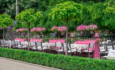 Odessa, Ukraine - 06.09.2019. Alleys in Gorky Park in Odessa, Ukraine, on a sunny summer dayのeditorial素材