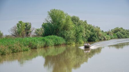 Danube River near the village of Vilkovo, Ukraine, on a sunny summer dayのeditorial素材