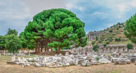 Ruins of antique Ephesus city on a sunny summer dayの写真素材