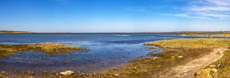 The reed-covered estuary near the village of Koblevo, Odessa region, Ukraine, on a sunny summer dayのeditorial素材