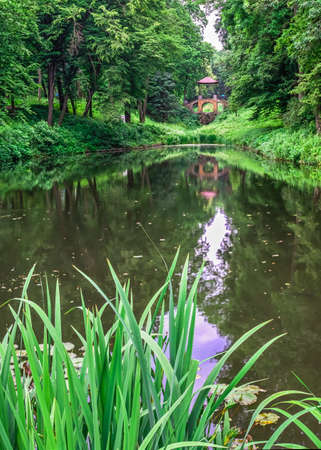 Bila Tserkva, Ukraine 06.20.2020. Alexandria park in Bila Tserkva, one of the most beautiful and famous arboretums in Ukraine, on a cloudy summer day.のeditorial素材