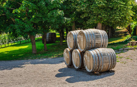 Vesele, Ukraine 07.24.2020. Park in Prince Trubetskoy winery castle on a sunny summer dayのeditorial素材
