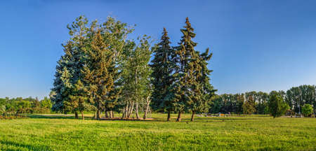 Cherkasy, Ukraine 07.12. Valley of roses park on the banks of the Dnieper river in Cherkasy, Ukraine, on a sunny summer morningのeditorial素材