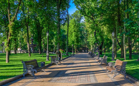 Kyiv, Ukraine 07.11. Vladimirskaya Gorka park in Kyiv, Ukraine, on a sunny summer morningのeditorial素材