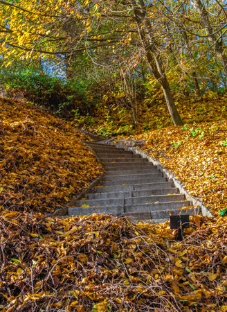 Alleys in the Sofievsky arboretum or Sofiyivsky Park in Uman, Ukraine, on a sunny autumn dayの写真素材