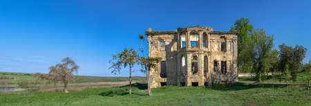 Abandoned Dubiecki manor or Wolf Man Pankejeff manor in Vasylievka village, Odessa region, Ukraineの写真素材