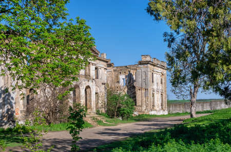 Abandoned Dubiecki manor or Wolf Man Pankejeff manor in Vasylievka village, Odessa region, Ukraineの写真素材