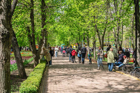 Kropyvnytskyi, Ukraine 09.05.2021. Kropyvnytskyi arboretum in the city park on a sunny spring dayのeditorial素材
