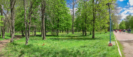 Kropyvnytskyi, Ukraine 09.05.2021. Kropyvnytskyi arboretum in the city park on a sunny spring dayのeditorial素材