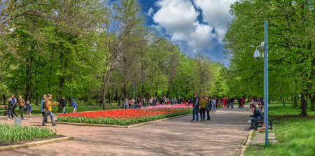 Kropyvnytskyi, Ukraine 09.05.2021. Kropyvnytskyi arboretum in the city park on a sunny spring dayのeditorial素材