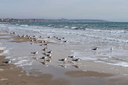 Odessa, Ukraine 07.02.2022. Sunny winter day on the Luzanivka beach in Odessa, Ukraineのeditorial素材