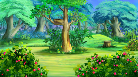 Nest on a tree in the forest on a summer day. Digital Painting Background, Illustration.の写真素材