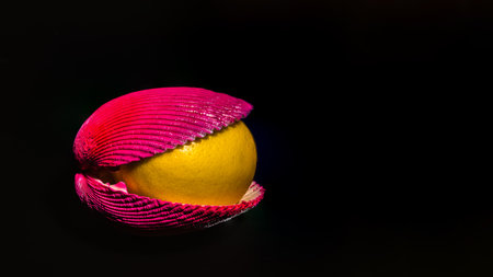 Creative still life with lemon and shells on a black background
