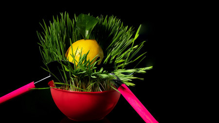 Creative still life with lemon in green grass on a black backgroundの写真素材