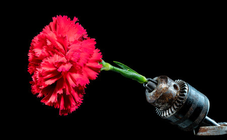 Creative still life with old rusty drill head and red carnation on a black backgroundの写真素材