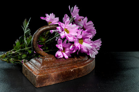 Creative still life with vintage iron with pink chrysanthemum flowers on a black backgroundの写真素材