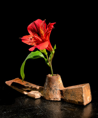 Creative still life with old rusty metal tool and red Alstroemeria flower on a black backgroundの写真素材