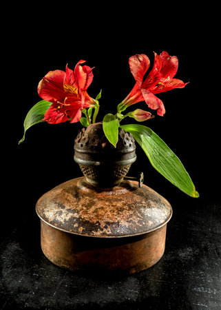 A vibrant red flower blooms from a vintage, rusty lamp, creating a striking contrast between old and new, life and decayの写真素材