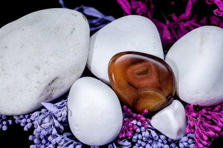 A polished brown agate stone surrounded by smooth white pebbles, purple and pink flowers on a black...