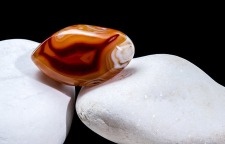 A polished agate stone with rich brown and white bands sits among a collection of smooth, white...