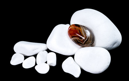 A polished agate stone with rich brown and white bands sits among a collection of smooth, white pebblesの写真素材