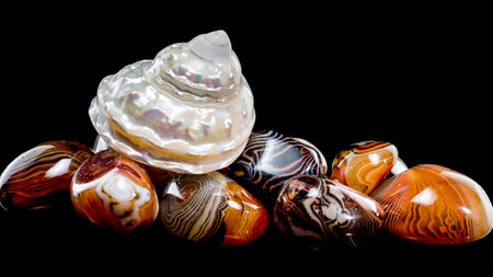 A lustrous pearlized Astraea turbanicum shell rests on a collection of polished agate stones with intricate banding patterns. The composition is set against a black background, highlighting the textures and colorsの写真素材