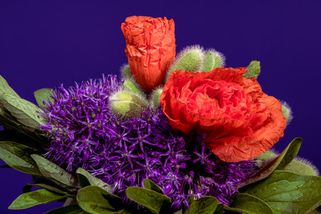 A colorful close-up of a floral arrangement featuring purple Allium blooms, orange Tulip, and spiky Thistle against a dark backgroundの写真素材