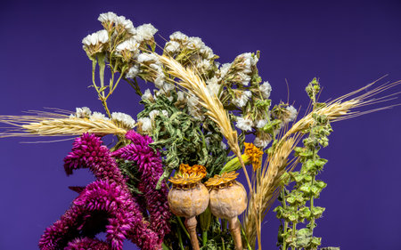 A vibrant composition of dried wildflowers, spiky wheat stalks, and unique seed pods against a solid...