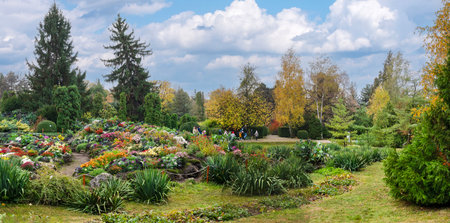 IaÈi, Romania - October 23.2025. A wide panoramic view of meticulously landscaped hills featuring colorful chrysanthemums and ornamental kale under a soft autumn sky in Romaniaのeditorial素材