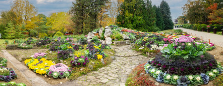 IaÈi, Romania - October 23.2025. A wide panoramic view of meticulously landscaped hills featuring colorful chrysanthemums and ornamental kale under a soft autumn sky in Romaniaのeditorial素材