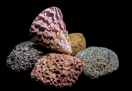 A beautiful striped seashell lies atop a collection of multi-colored volcanic pumice rocks. The high...