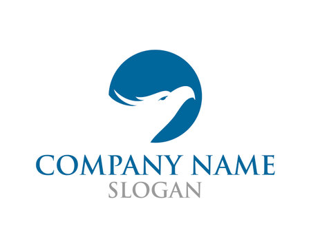 Falcon Eagle Bird Logo Template vector icon illustration designのイラスト素材