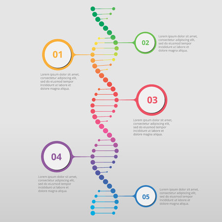Abstract infographic DNA, can be used for workflow layout, diagram, number optionsのイラスト素材