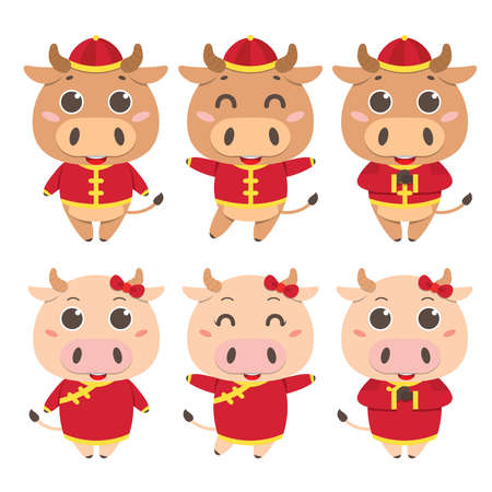 2021 Year of Ox. Set of Cute cartoon Ox / Cow with different pose, isolated on white. Chinese New Year Ox mascot in flat vector illustration.のイラスト素材