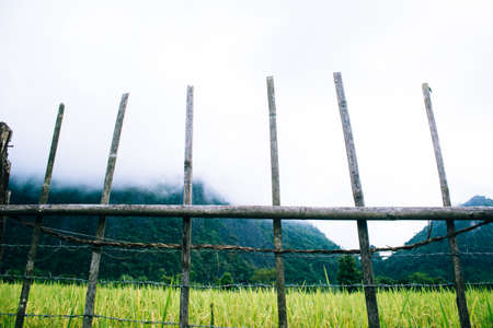 Rice field , mountain and barbed wall in fresh morningの写真素材
