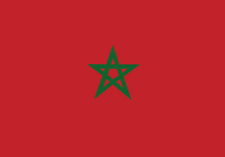 Vector emoticon illustration of the Moroccan flagのイラスト素材