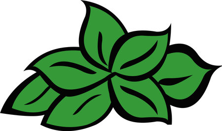 Vector illustration of leafs plant herbのイラスト素材