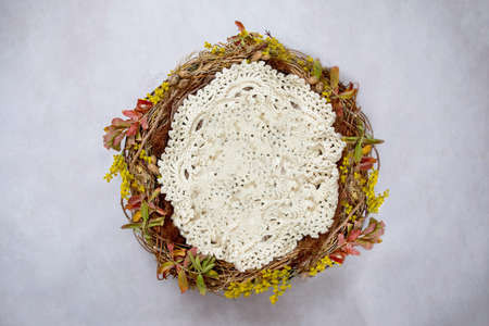 Newborn baby photography digital background with a twigs and autumn theme birds nest and crochet filler.の写真素材